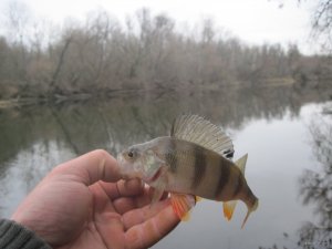 IMG_1665.JPG