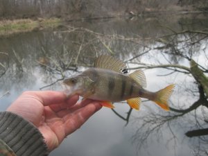 IMG_1667.JPG