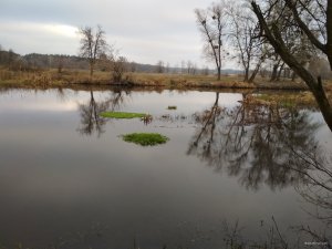 IMG_20200116_140423[1].jpg