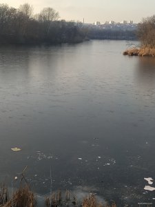 IMG_20200118_142627.jpg