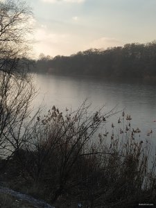 IMG_20200118_142632.jpg