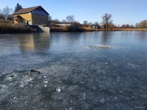 IMG_20200118_113508.jpg