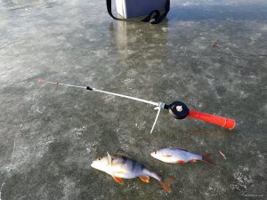 IMG_20200118_123013.jpg