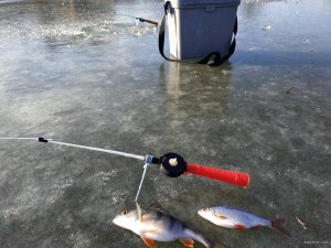IMG_20200118_123025.jpg