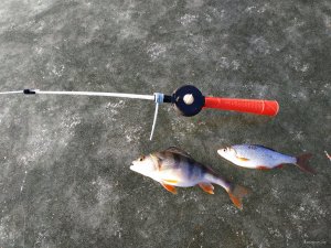 IMG_20200118_123031.jpg