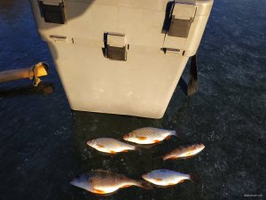 IMG_20200118_143747.jpg