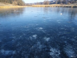 IMG_20200118_090434.jpg