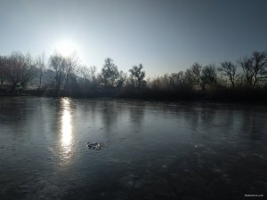 IMG_20200118_090444.jpg
