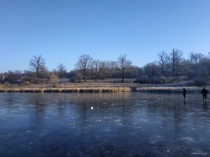 IMG_20200118_090514.jpg
