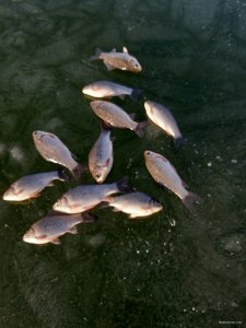 20200118_141535.jpg