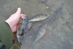 DSC_0925.JPG