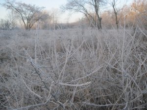 IMG_1700.JPG