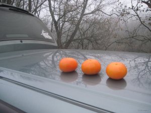 IMG_1727.JPG