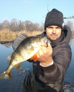 IMG_20200118_193352_509.jpg