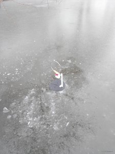 IMG_20200119_110855.jpg