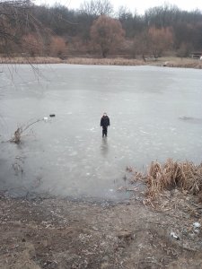 IMG_20200119_112219.jpg