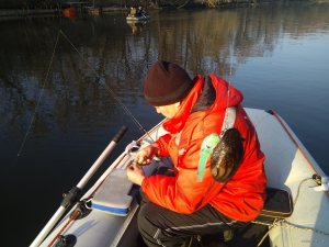 IMG_20200118_093638.jpg