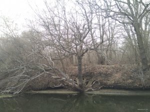 IMG_20200118_122930.jpg