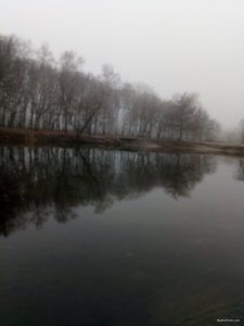 IMG_20200118_123249.jpg
