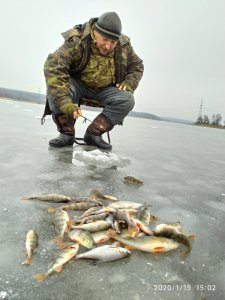 IMG_20200119_150205.jpg