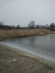 IMG_20200119_141818.jpg