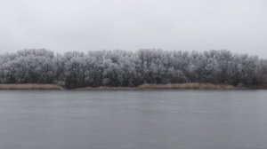 IMG_20200119_103459.jpg