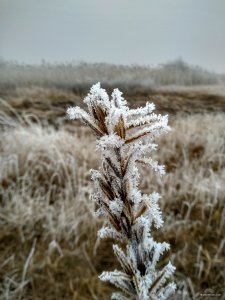 IMG_20200118_111730.jpg