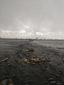 IMG_20200123_124548.jpg