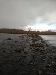 IMG_20200123_124541.jpg