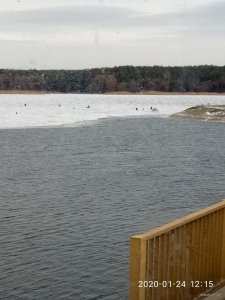 P00124-121548.jpg