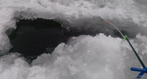 IMG_20200124_124858_small.jpg