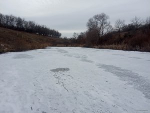 IMG_20200124_123613.jpg