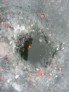 IMG_20200124_123546.jpg