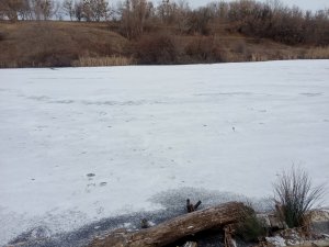 IMG_20200124_084521.jpg