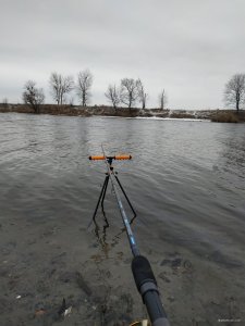 IMG_20200125_090730.jpg