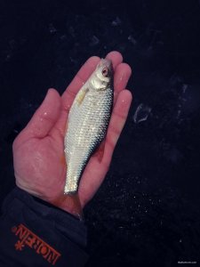 IMG_20200125_164136.jpg