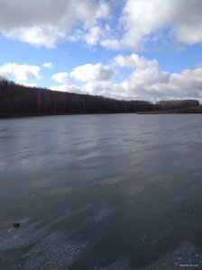 IMG_20200126_104406.jpg