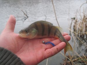 IMG_1791.JPG