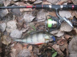 IMG_1801.JPG