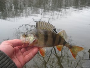 IMG_1802.JPG