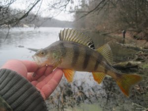 IMG_1805.JPG