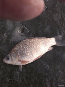 IMG_20200126_091231.jpg