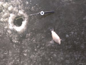 IMG_20200126_091226.jpg