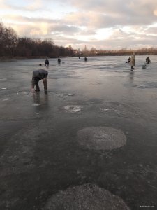 IMG_20200126_075916.jpg