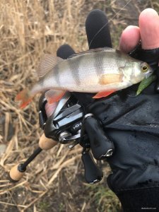 379575E1-11C8-45AB-8A32-E0C431EDDE07.jpeg