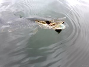 20200131_233756.jpg