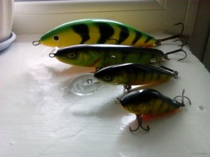 IMG_20200201_094644.jpg