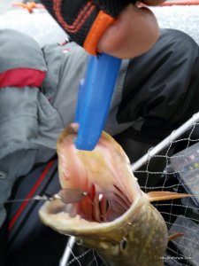 IMG-78a7357352b3e5d970d9502703f2cbf3-V.jpg