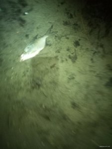 IMG_20200202_054026.jpg
