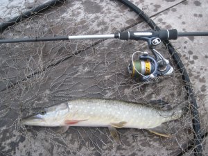 IMG_1855.JPG